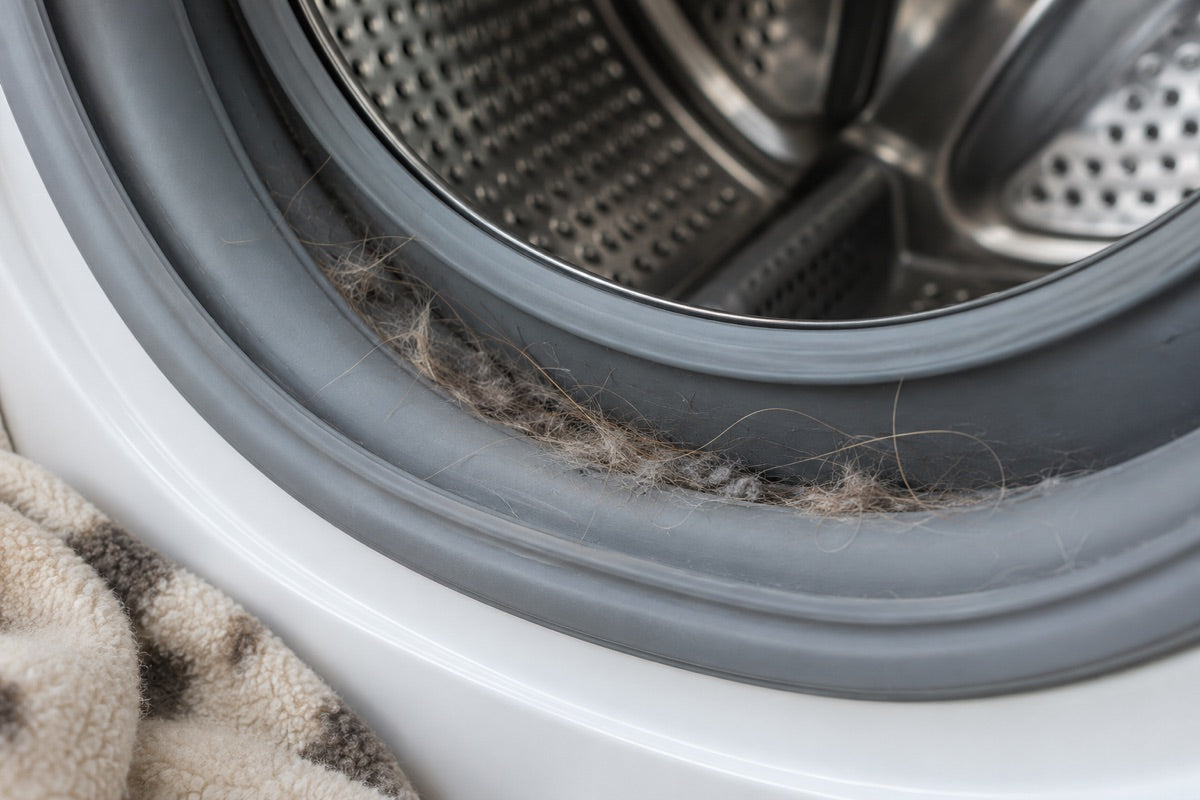 Illustration de poils et de fibres retenus au bord du joint d’un lave-linge