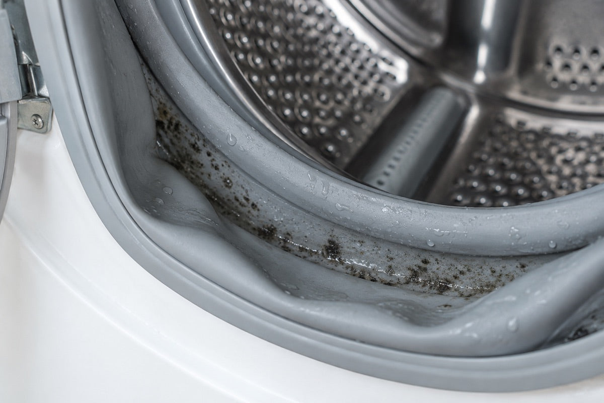 Illustration de traces de moisissure dans les plis du joint d’un lave-linge